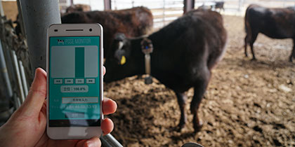 エッジデバイスを取り付けた牛と状態が把握できるアプリ